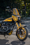 Big Bear Performance Ohlins Inverted Front End Harley Davidson Dyna - Forever Rad