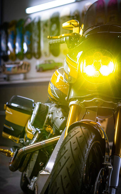 Forever Rad Gallery | Forever Rad